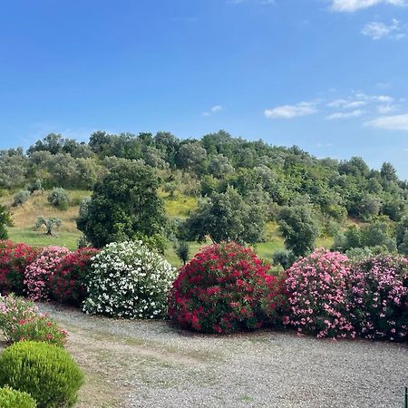 Tenuta Montemassi Podere Montauzzo 외부 사진