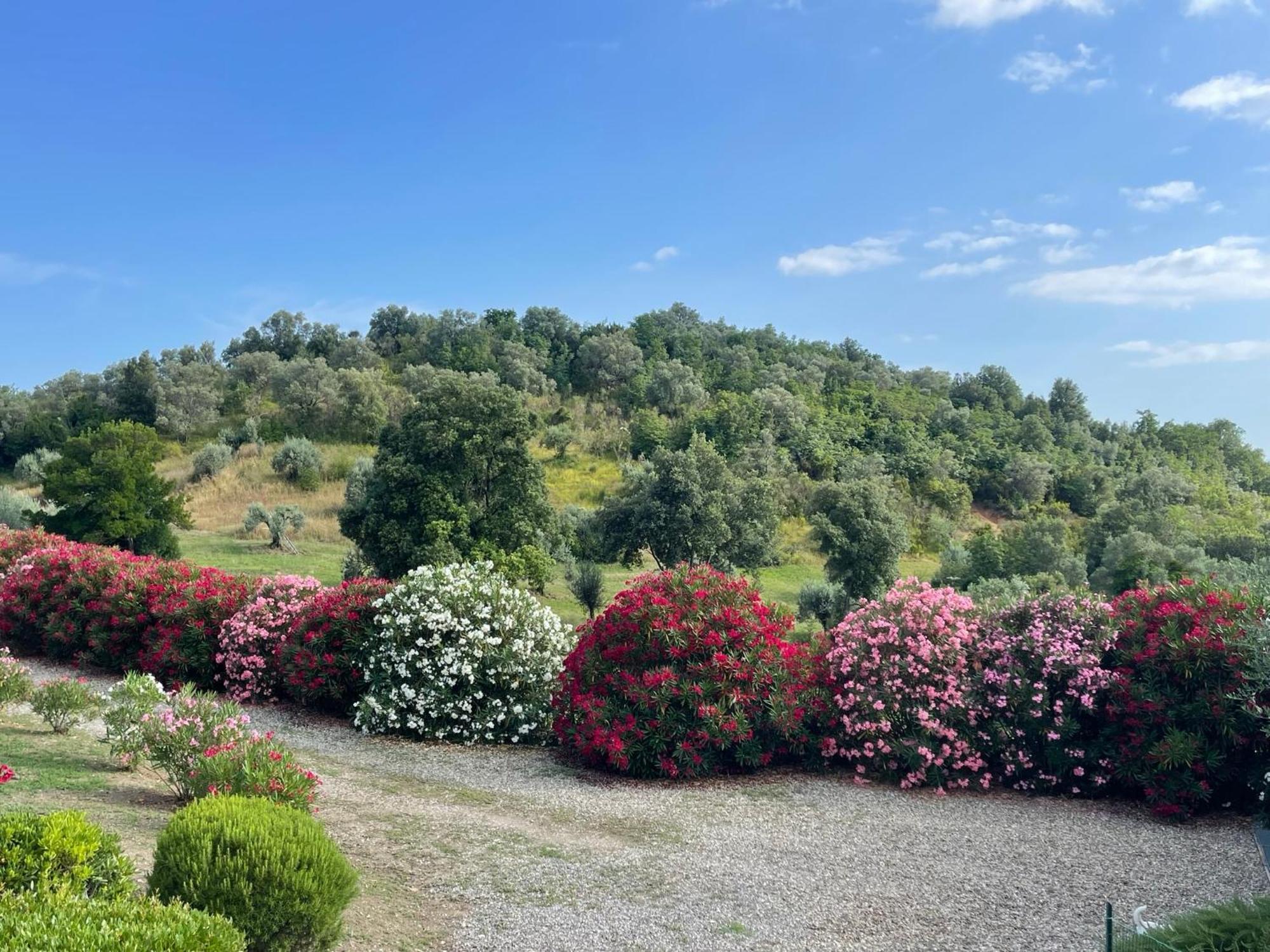 Tenuta Montemassi Podere Montauzzo 외부 사진